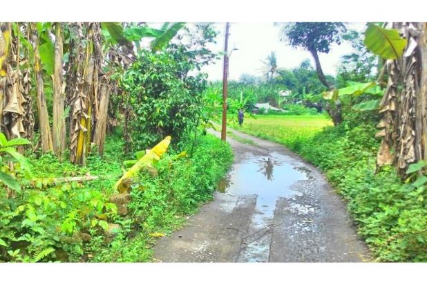 klaten kpr murah Dekat Candi Jogja Murah Dijual ,Tanah Tanah Prambanan Boko