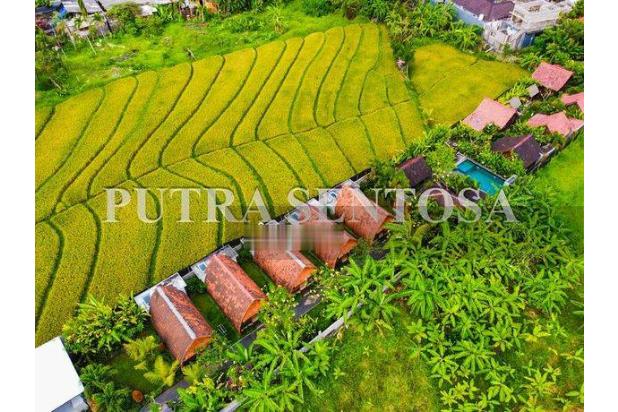 Tanah Canggu Batubolong Padang Linjong View Sawah Paling Murah
