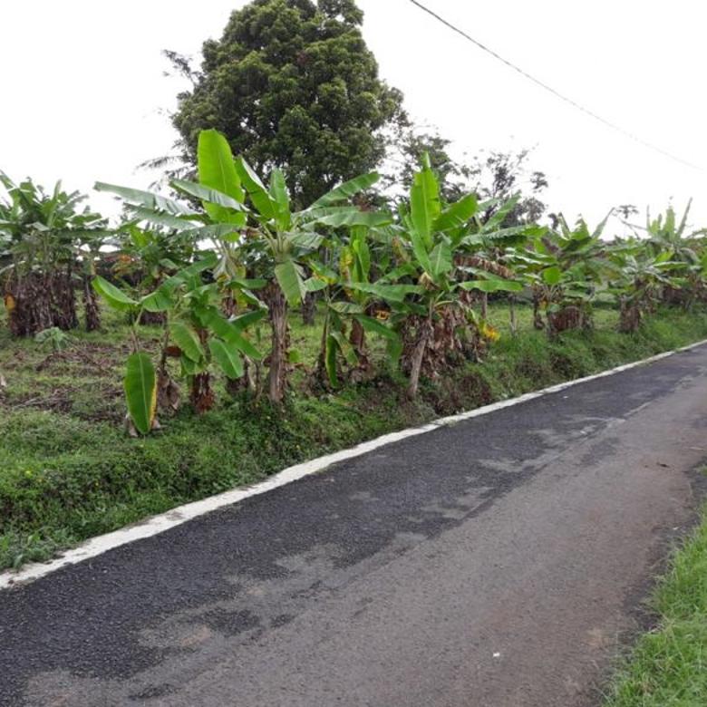 Lahan Situ Daun Nan Sejuk Tenjolaya Bogor Lahan Situ Daun Nan Sejuk Tenjolaya Bogor