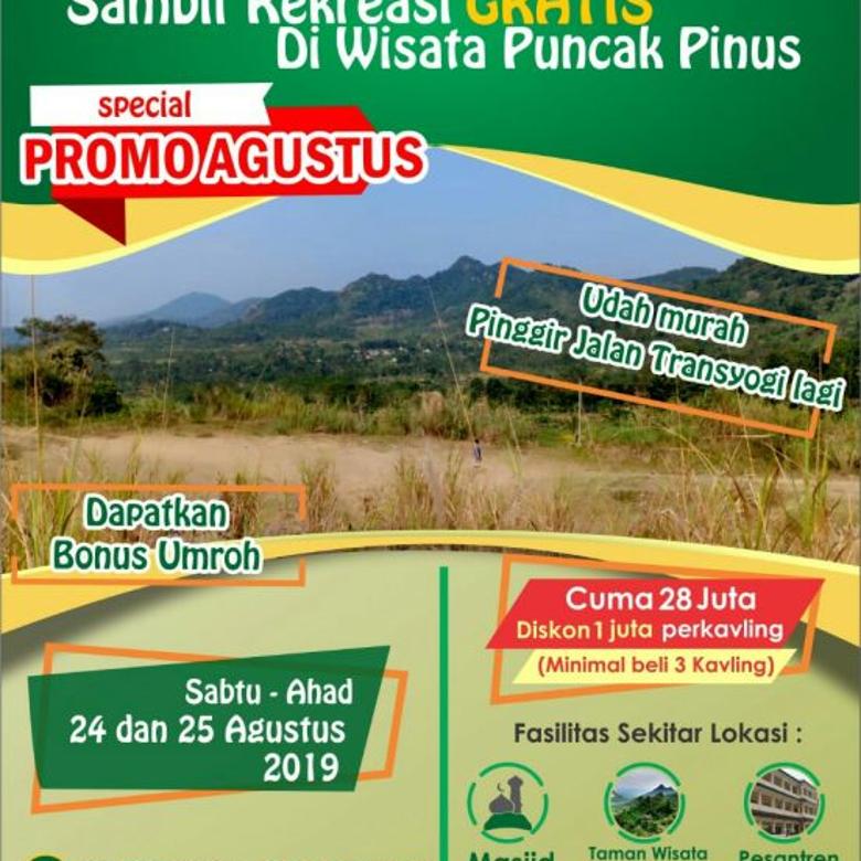 Kavling Durian Puncak Pinus