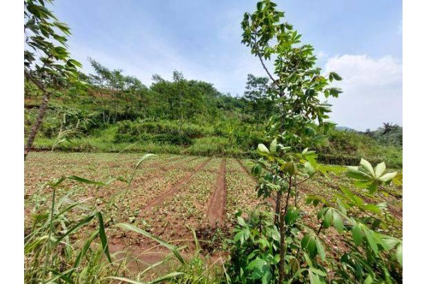Tanah Murah di Nanjung Bandung Barat, Cocok Untuk Perkebunan