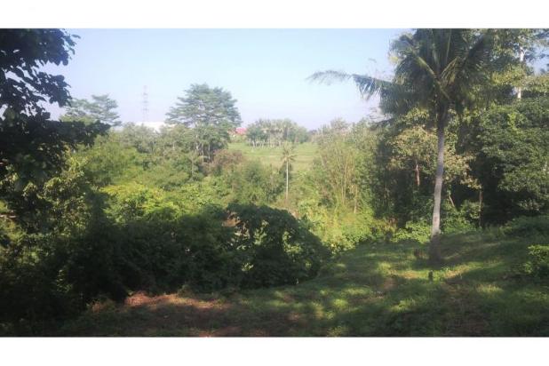 Dijual Tanah di UBUD Bali dengan pemandangan indah 