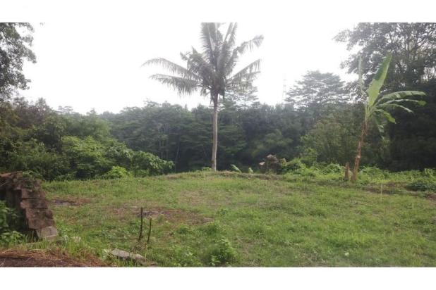 Dijual Tanah di  UBUD Bali  dengan pemandangan  indah