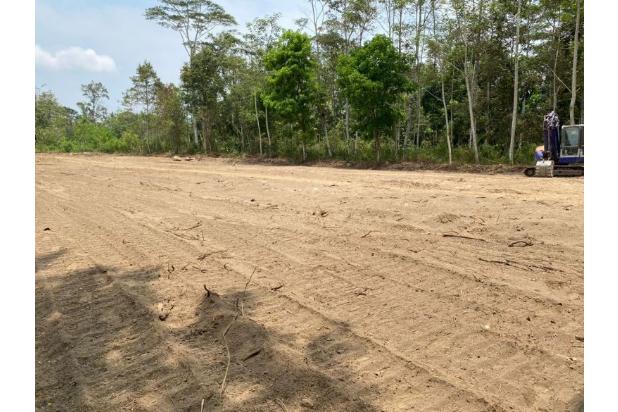 Tanah Bogor Tajurhalang 10 Menit Jalan Raya Parung Legalitas S