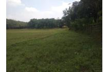 Tanah Sawah seluas 2 Ha dipinggir Jalan desa Sirna Jaya, Serang baru- Bekasi