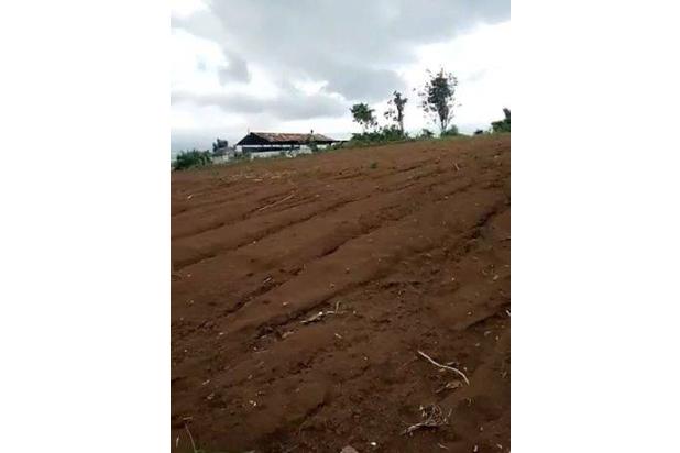 Tanah 5500 M2 Dijual di Singosari Malang Gmk01464