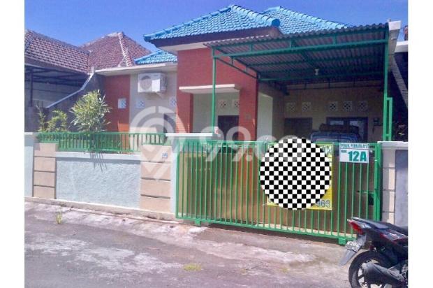 Disewakan Rumah 3BR Nyaman Asri di Jalan Pulau Galang 