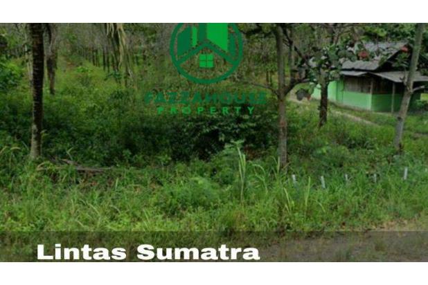 Tanah Siap Bangun Lokasi Di Pinggir Jalan Lintas Sumatra Palembang Lampung