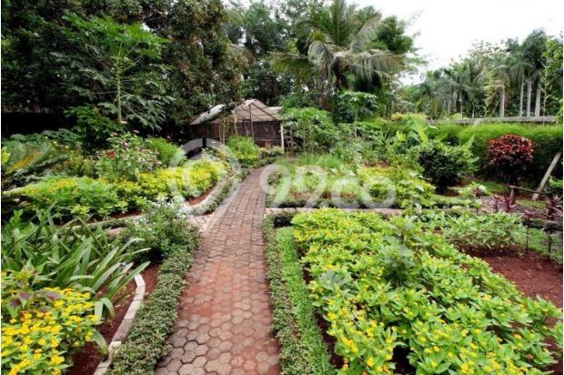 Dijual Rumah Dengan Kebun Yang Indah Bilabong Bogor