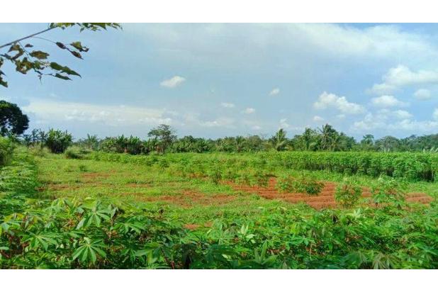 Tanah Siap Bangun Luas 1.500m SHM Di Desa Situ Ilir Kabupaten Bogor