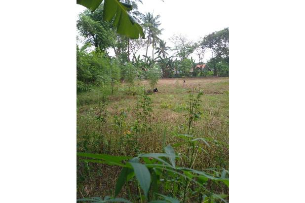 Tanah Kebun Lokasi Pinggir Jalan Desa Di sukatenang Muara bakti-undefined