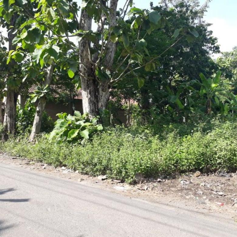  Jual  Tanah Murah Di  Utara Jl Raya  Jogja Solo  Cupuwatu Kalasan