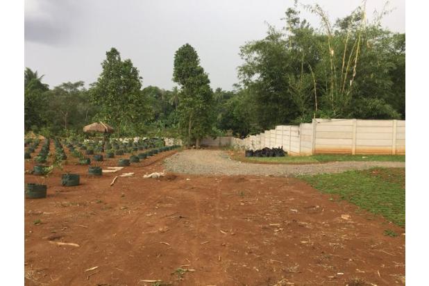 Tanah Murah di Desa Cikuda Parung Panjang Bogor, Good Invest