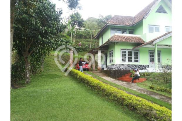 Vila Dijual: VILLA MURAH VIEW CANTIK DI MEGAMENDUNG 