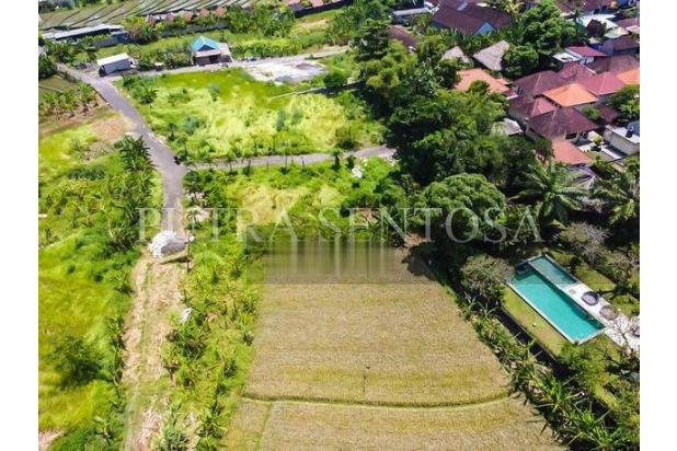Tanah Canggu Padang Linjong Full View Sawah Siap Bangun